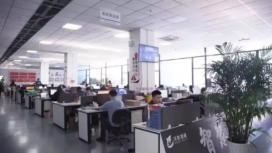Chine Beijing Tianying Vision Technology Co., Ltd. Profil de la société