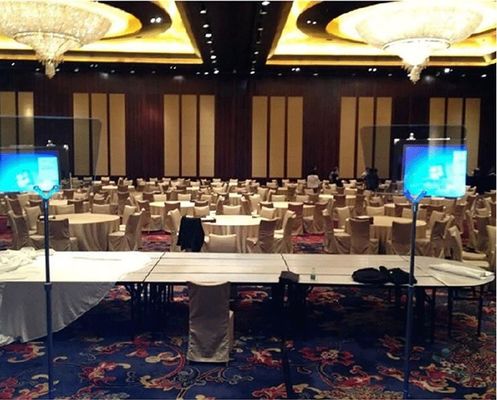 TYSTVideo professionnel Téléprompteur de caméra DSLR pour les discours et les interviews en plein air